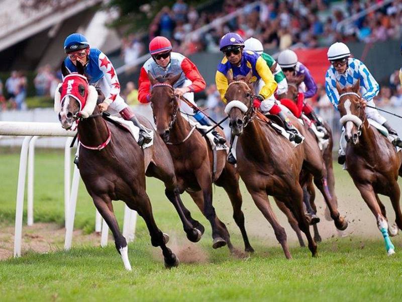 carrera de caballos